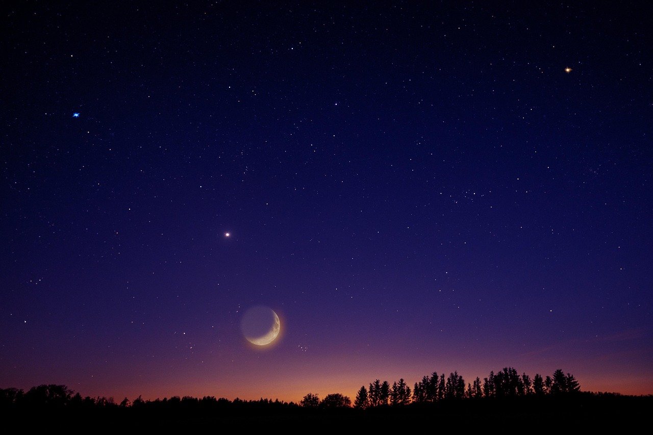 heaven, stars, moon, nature, venus, universe, night, night sky, trees
